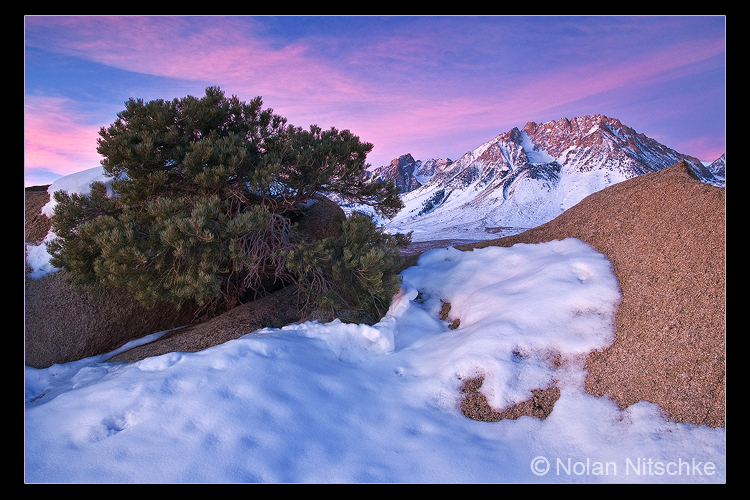 Buttermilk Sunrise