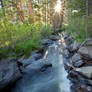 Golden Trout Creek