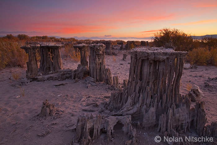 Mono Lake Sand Tufa Sunrise