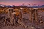 Mono Lake Sand Tufa Dawn by narmansk8