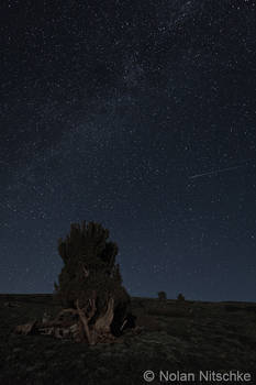 The Stars of Coyote