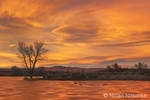 Frozen Pond Sunset by narmansk8