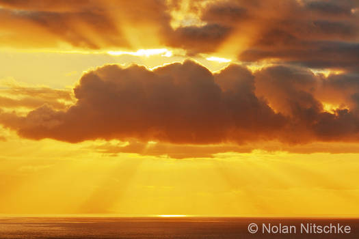 Hawaiian Sun Rays