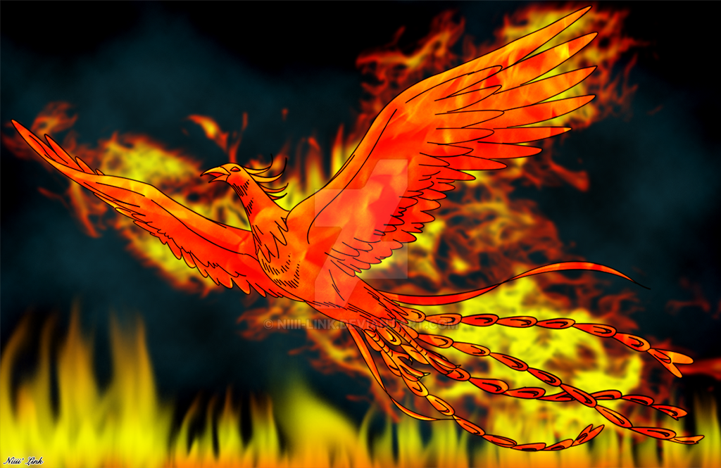 Wall Phoenix II