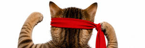 Deviation posted JUN 13, 2026