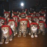 Deviation posted JUN 22, 2026