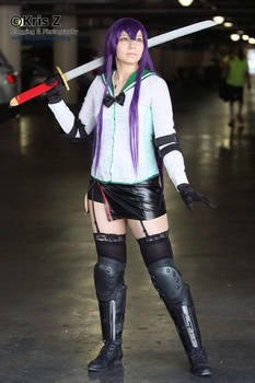 Saeko Busujima Cosplay (Graceful as she stands)