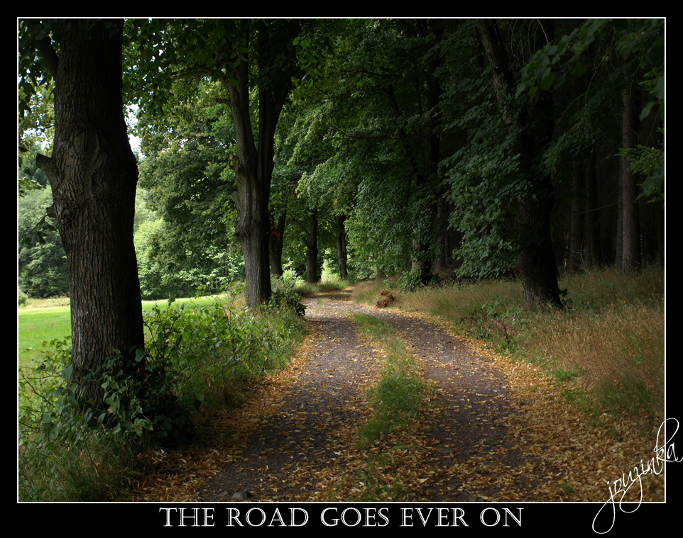 The Road Goes Ever On