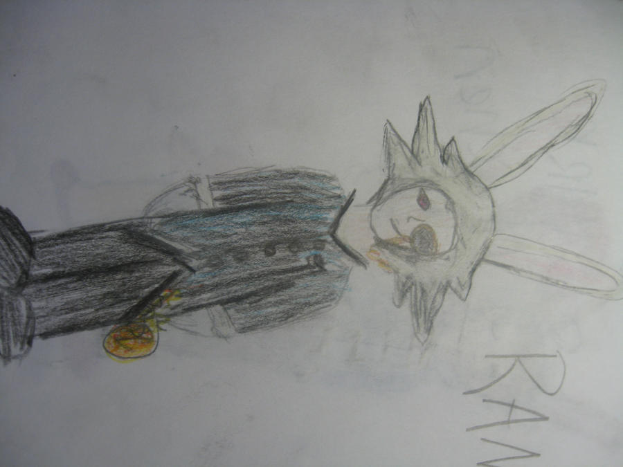 randy the white rabbit by kingdomofcards on DeviantArt
