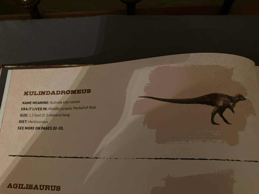 Albertavenator Kulindadromaeus by RoundPigeon on DeviantArt