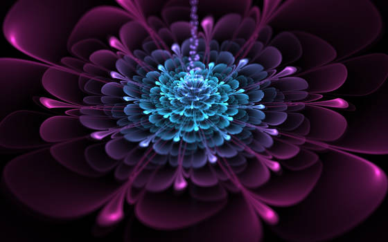 fractal flower.