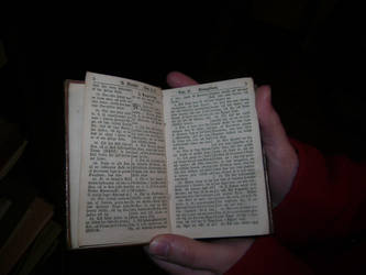 200 year old Swedish Bible