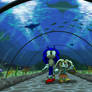 Apr. '26 - Underwater