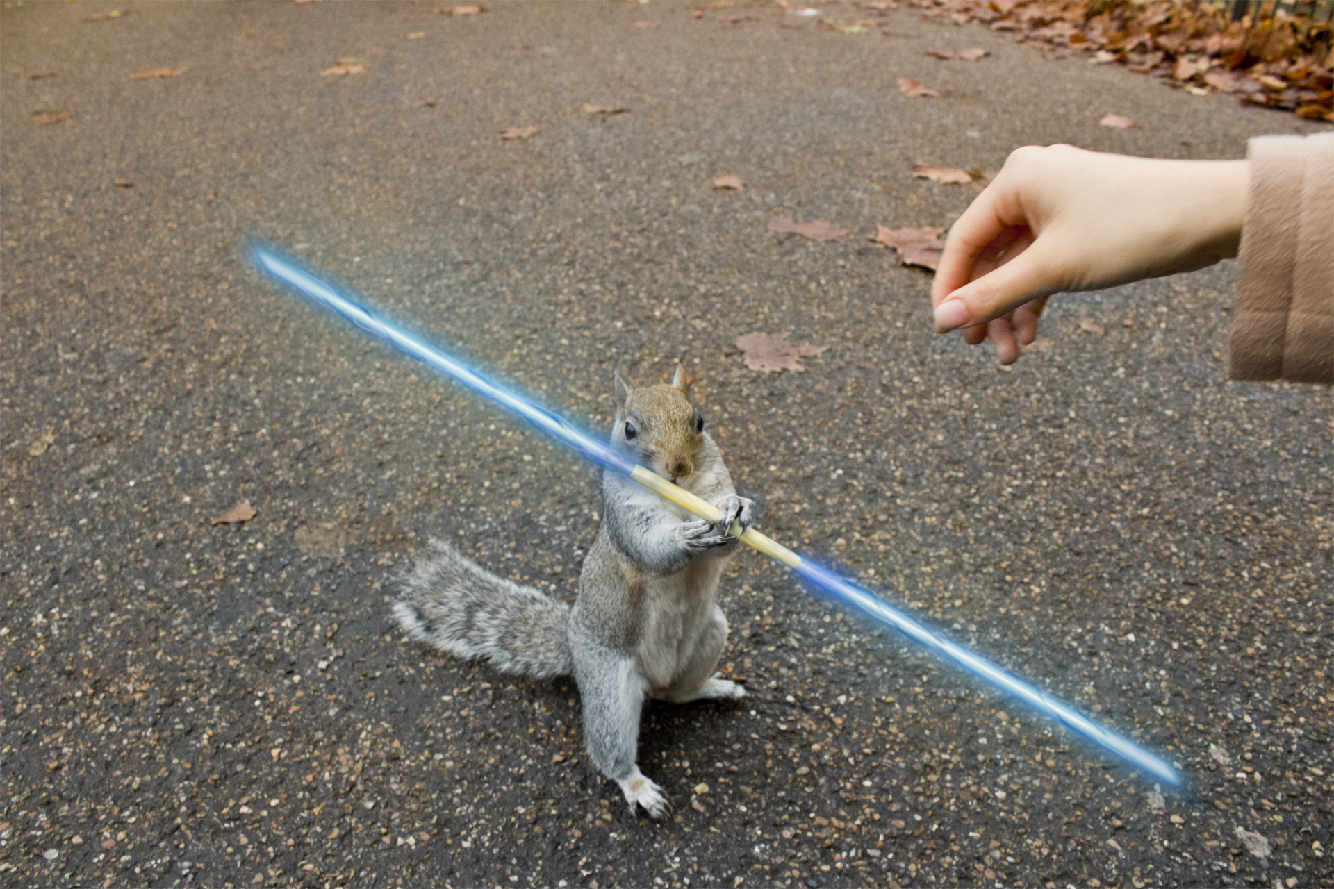 PhotoEdit | Squirrel With PockySaber Weapon