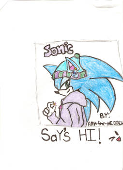 sonic says 'hi'