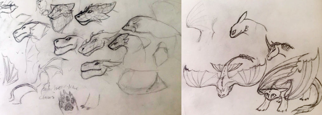 Httyd Sketches By Akimeterasu On Deviantart Httyd Sketches By Akimeterasu On Deviantart