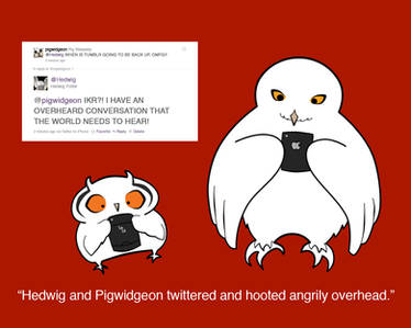 Hedwig and Pigwidgeon Twitter