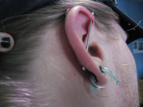 picture Elf Ear Piercing Drawing piercings by elfdrummer512 on deviantart