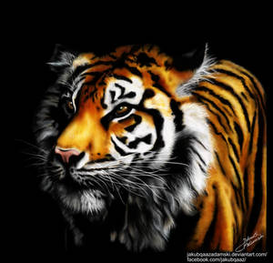 Tiger Digital Drawing
