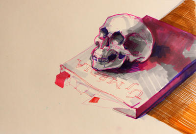 skull 02