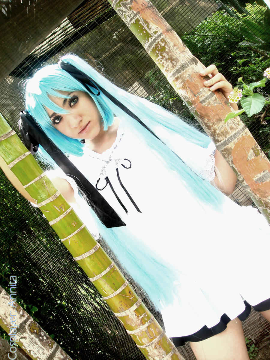 Miku Cosplay