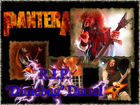 RIP Dimebag