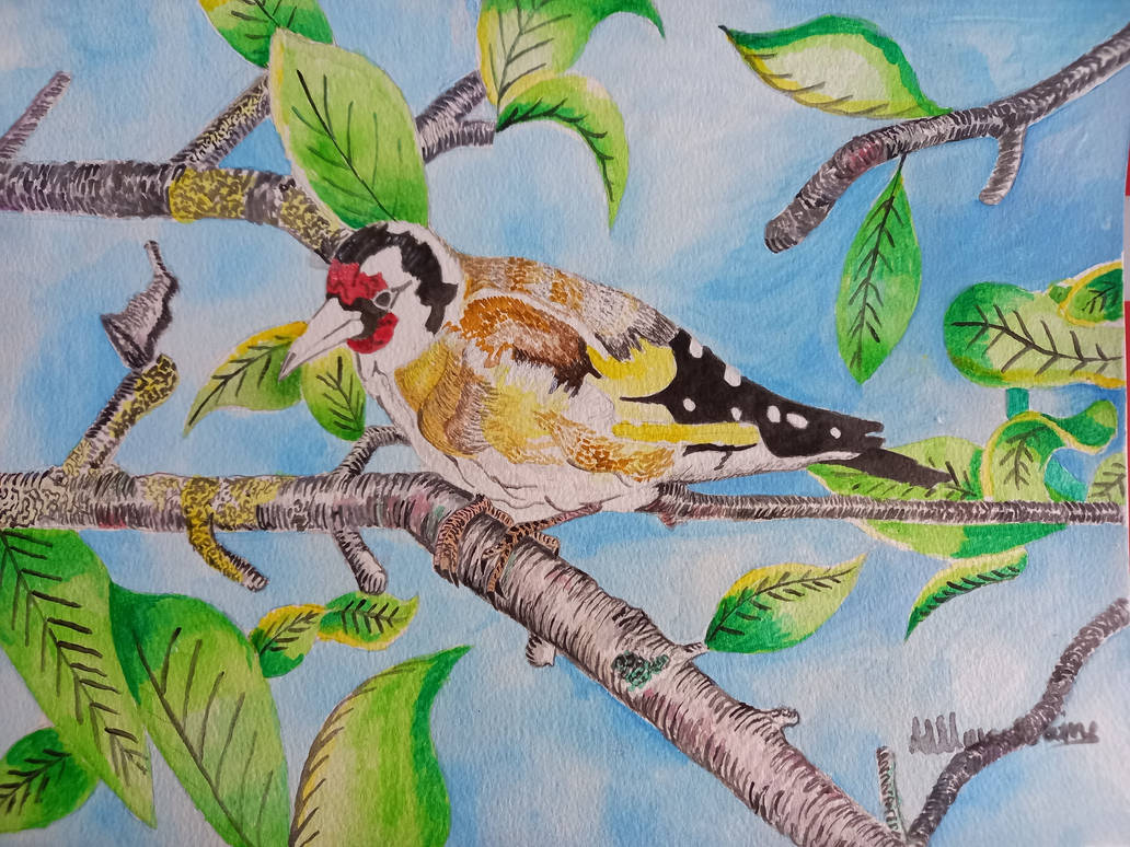 Goldfinch.