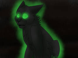 Hollyleaf