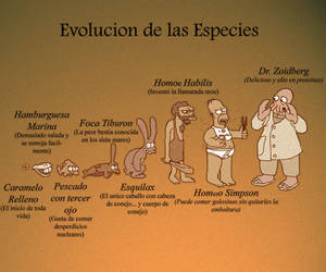 Evolucion de las Especies