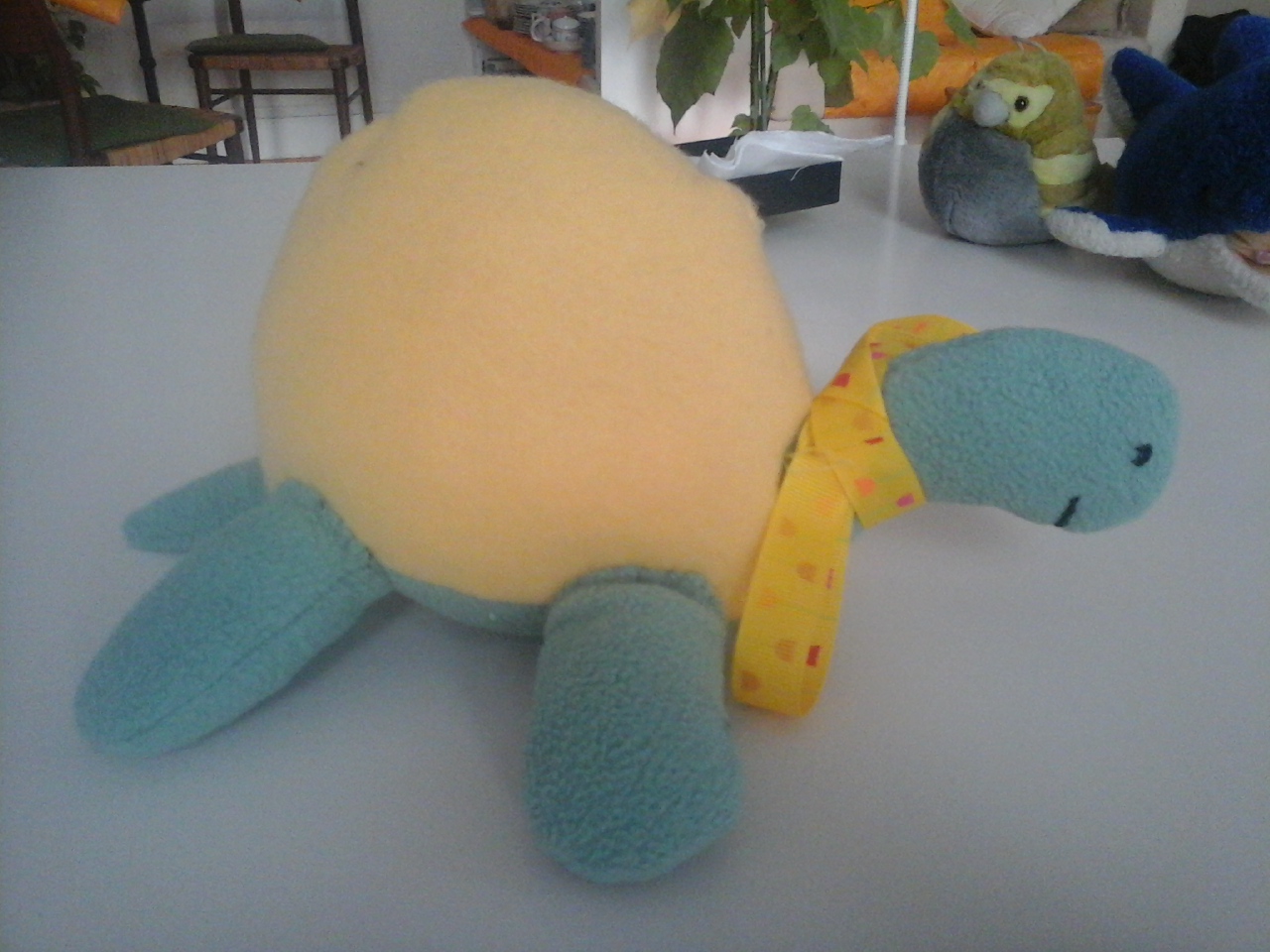 Cute little yellow turtle :3