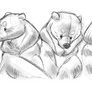 Bears