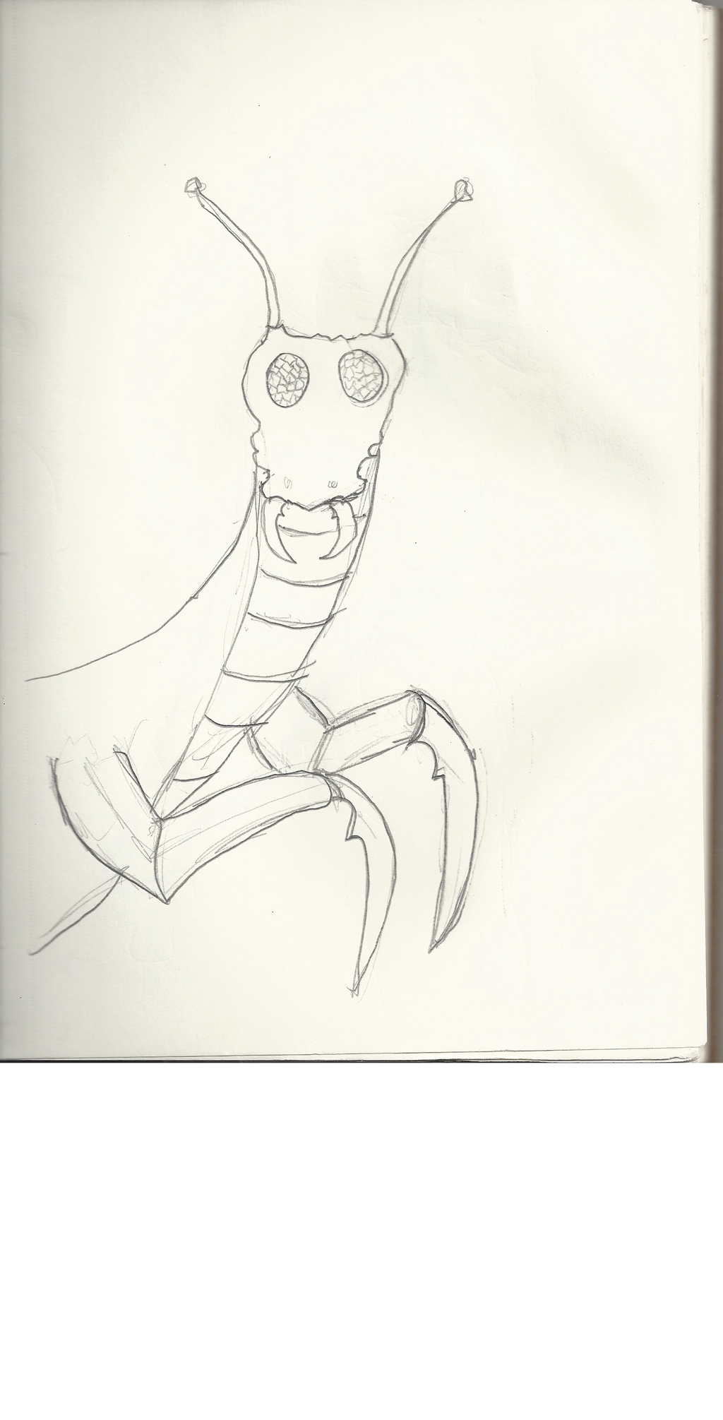 Bug Dragon by OboieTheDragon on DeviantArt