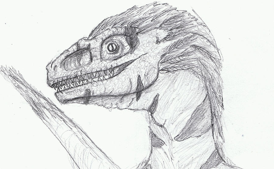 raptor_scrap_1 by andreask87 on DeviantArt