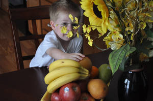 Can I Have Some Fruit Nana