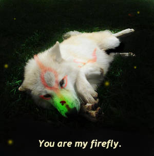 Okami: You Are My Firefly.