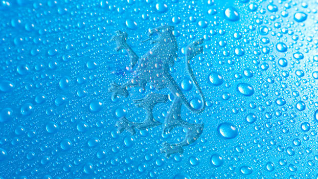 Gatecrasher Wet Wallpaper