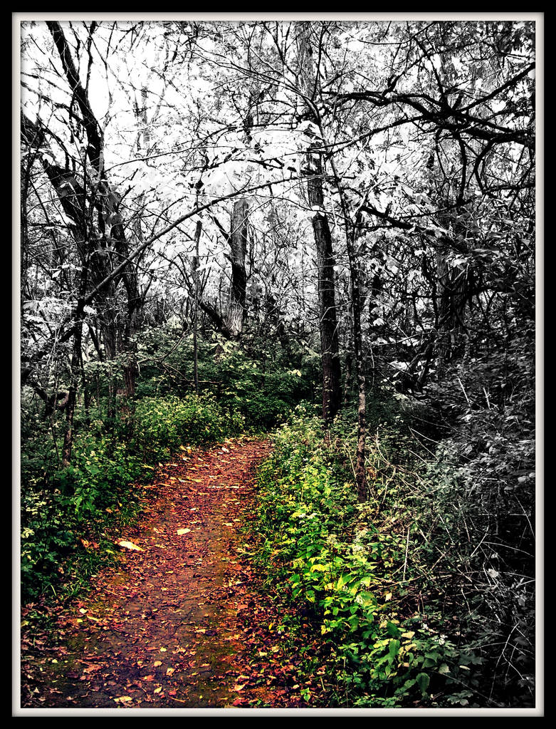 Tangled Path Tangled Path by jesterdoll45 on DeviantArt