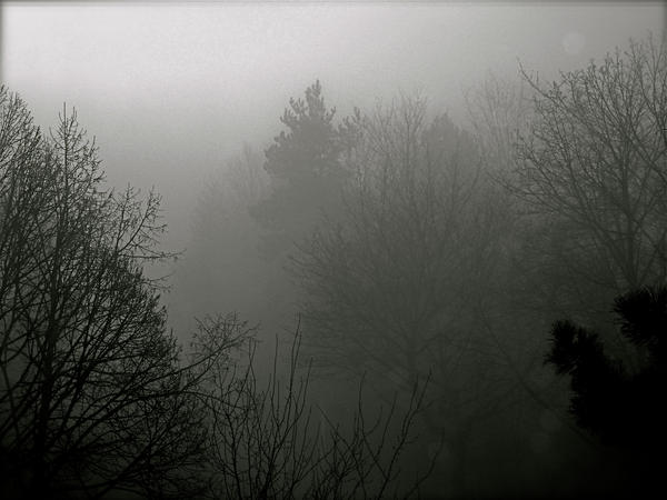 Creepy Morning by rini312 on DeviantArt
