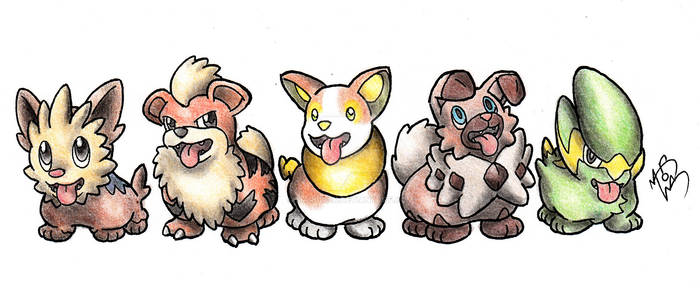 Yamper and the Corgi boys