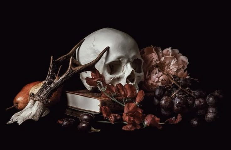 The Beautiful Aesthetic The Damned Aesthetic Celin