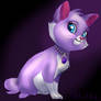 Sofia the cat