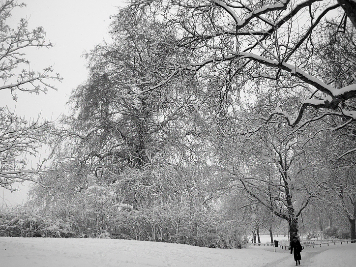 Snowy Pathway