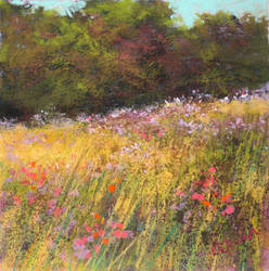 Wild Meadow