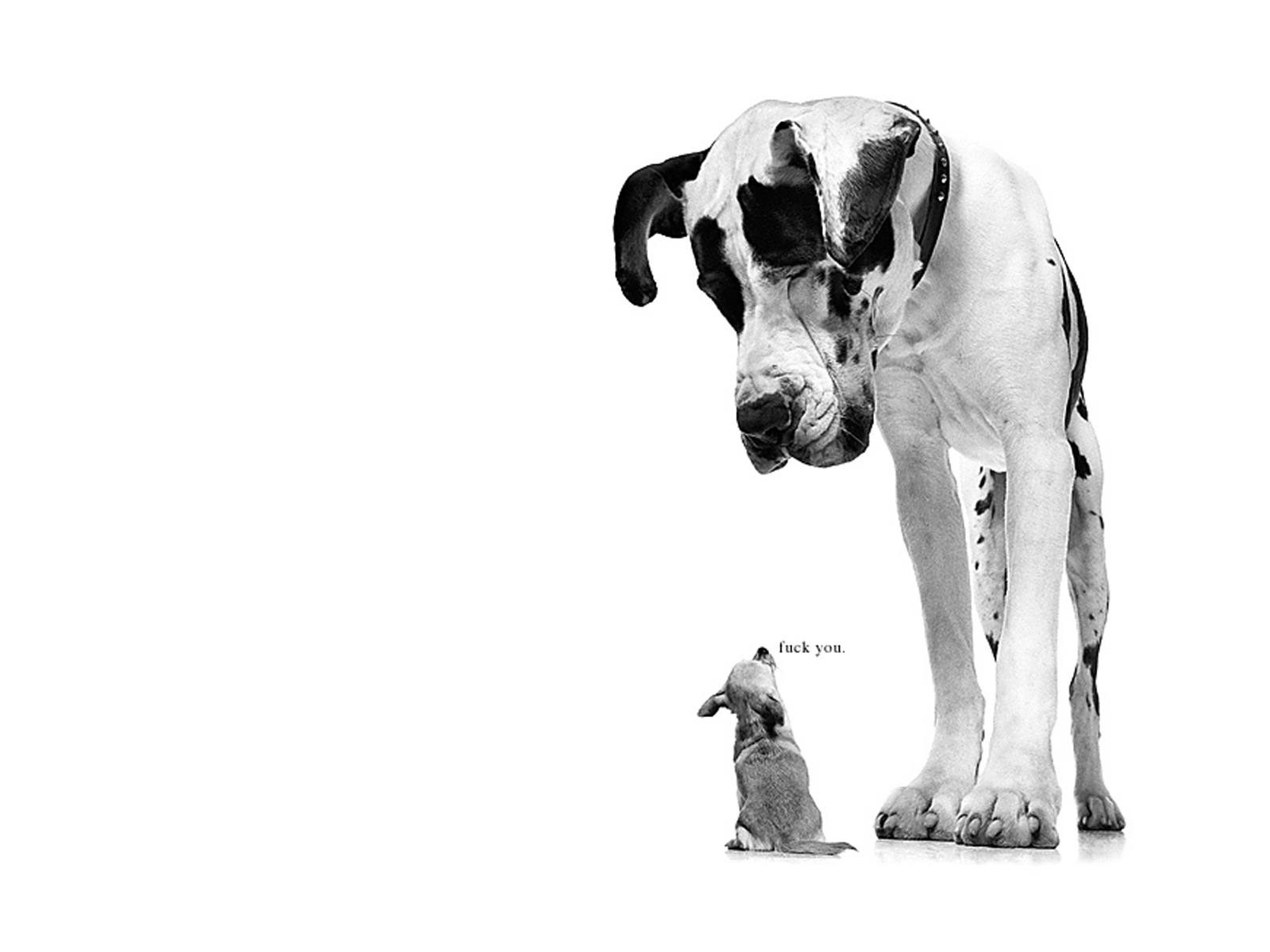 Never Be Afraid To By Leeislee On Deviantart Never Be Afraid To By Leeislee On Deviantart