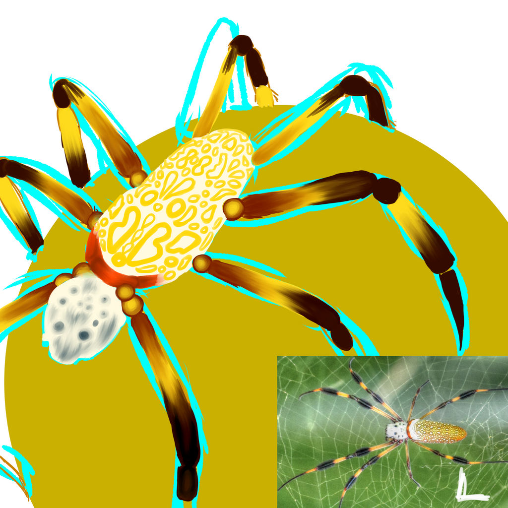 Golden Orb Weaver WIP 6 by A-Spastic-Dinocorn on DeviantArt