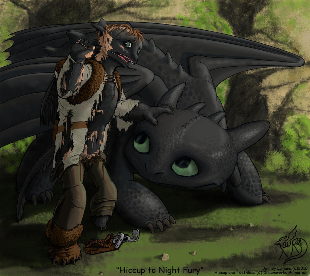 1024 x 911 - jpeg. gallery train dragon hiccup toothless fanfiction. 