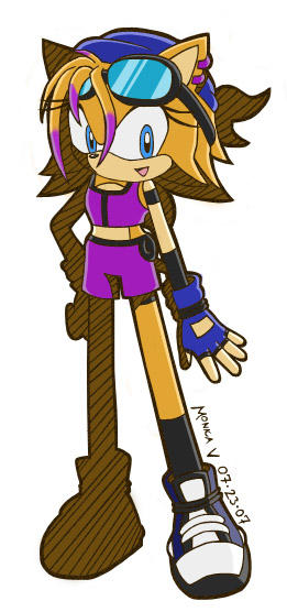 Sonic Riders Style Riley