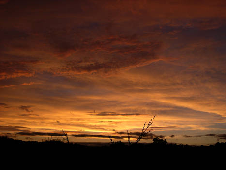 Cold front sunset