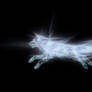 Wolf Patronus