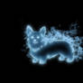 Corgi Patronus